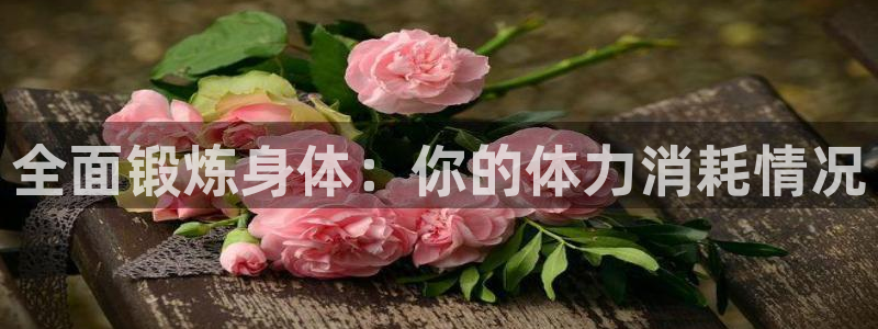 全面锻炼身体：你的体力消耗情况