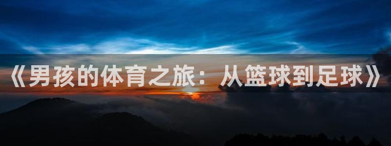 《男孩的体育之旅：从篮球到足球》