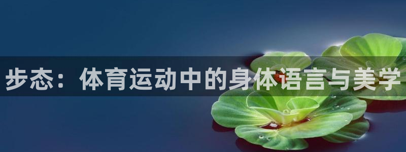 步态：体育运动中的身体语言与美学