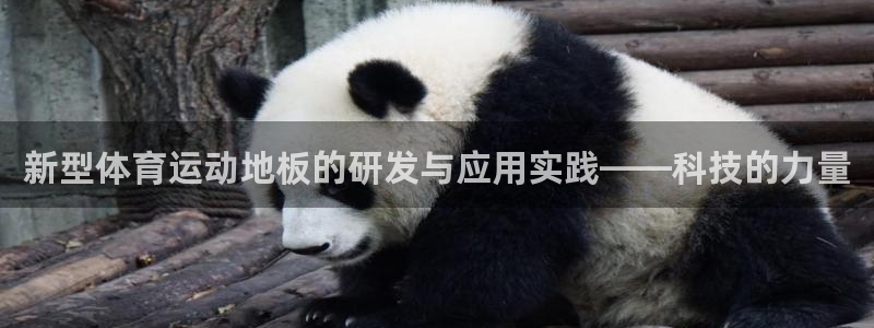 新型体育运动地板的研发与应用实践——科技的力量