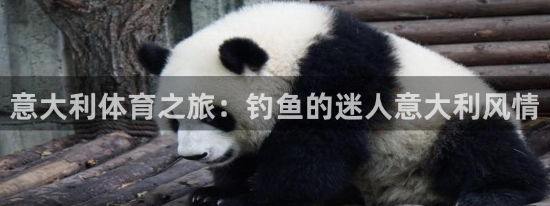 意大利体育之旅：钓鱼的迷人意大利风情