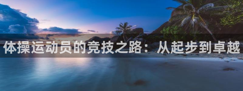 体操运动员的竞技之路：从起步到卓越