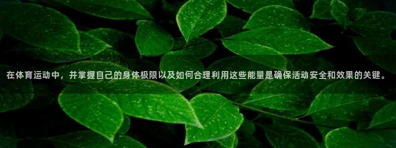 在体育运动中，并掌握自己的身体极限以及如何合理利用这些能量是确保活动安全和效果的关键。