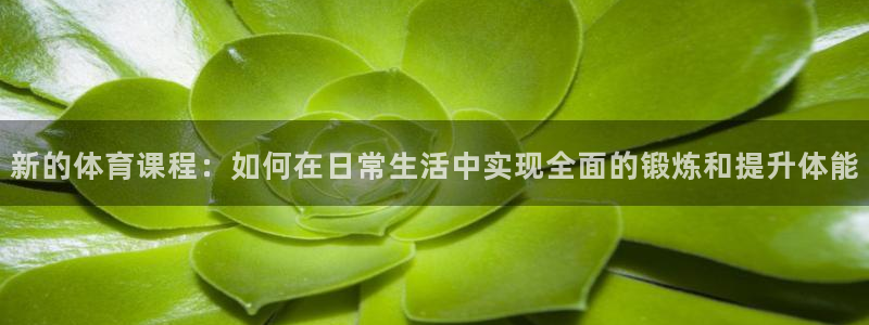 新的体育课程：如何在日常生活中实现全面的锻炼和提升体能