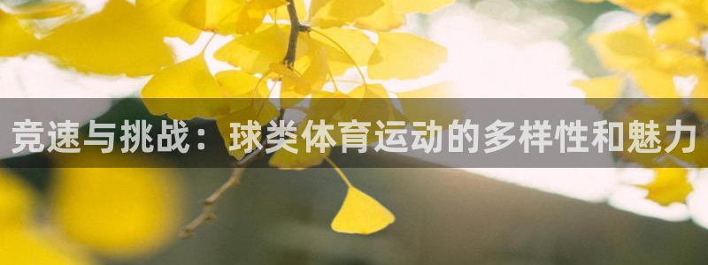 竞速与挑战：球类体育运动的多样性和魅力